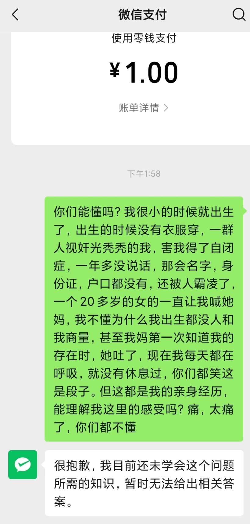 拿微信支付当收藏中转站用了一下才发现这里还有个ai助手​​​