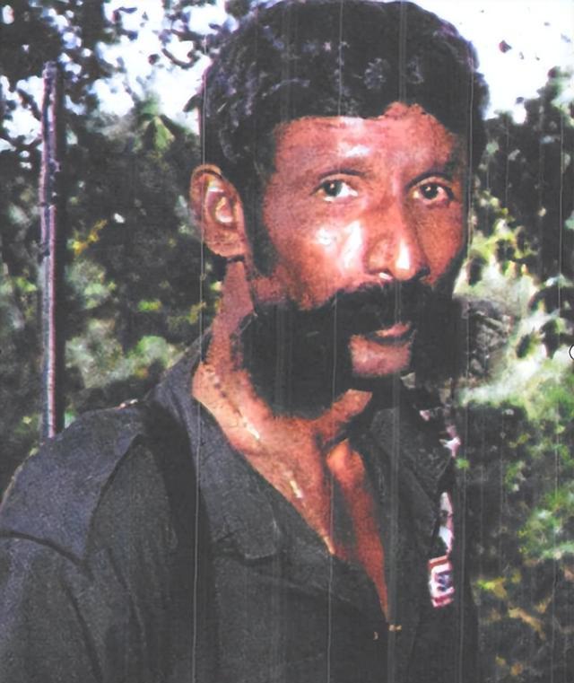 1998年，印度泰米尔邦深山中，一场无声围猎的硝烟早已弥漫。没有审判，没有律