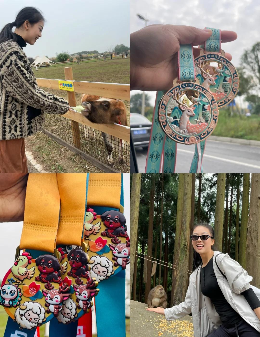 11.13-14｜太阳湾➕蔚然花海（奖牌版奖牌期待选手在这个中小学放秋假的时间