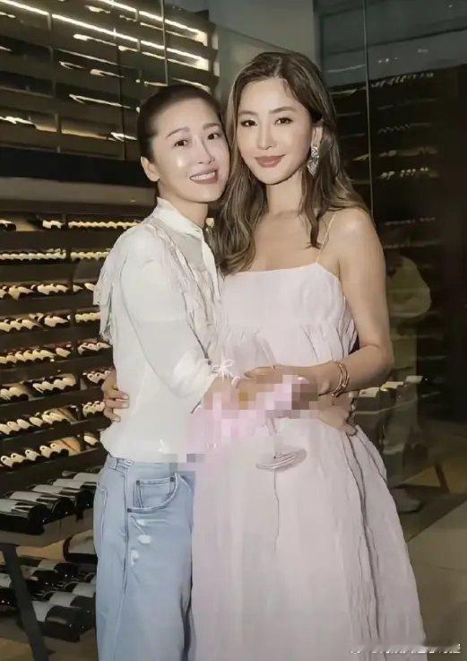 香港演员周丽淇和姐姐周汶琦长得容貌出众，可是两姐妹的命运却天差地别，姐姐嫁入法国