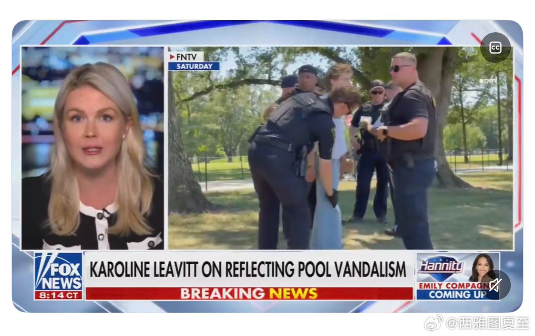 正休产假的白宫新闻秘书接受FoxNews采访：毁坏倒映池的疯子，一共逮捕六个，