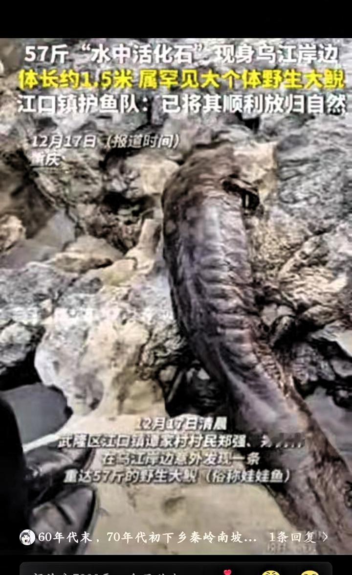 “幸亏发现及时！”重庆一村民干活时，突然发现石头缝有动静，他起初以为是毒蛇，吓得