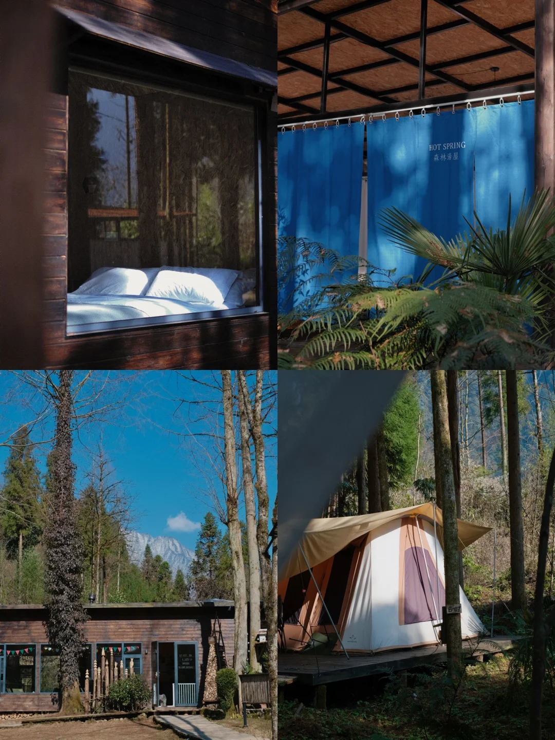 春节反向游｜躲进山谷，过个清净年🧧