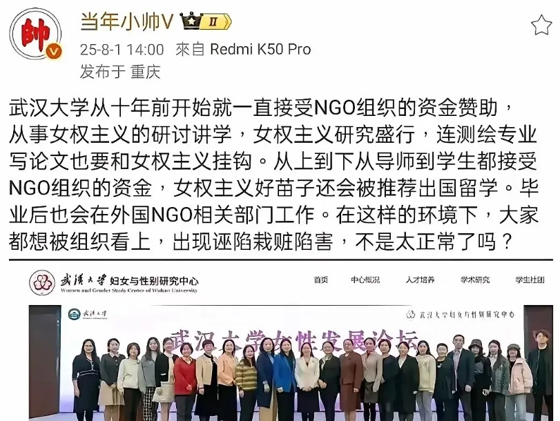 除武汉大学外，还有一大批有影响力的大学研究机构在接受境外NGO的资助。这些基本都