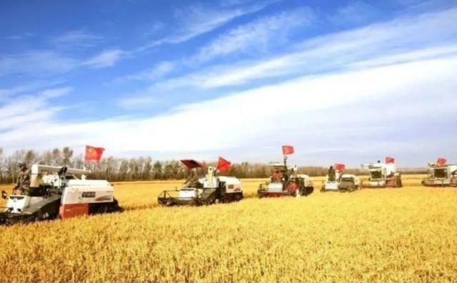 中国为什么要屯粮？2008年被国外资本围剿，全国人差点被割韭菜！得从2001年说