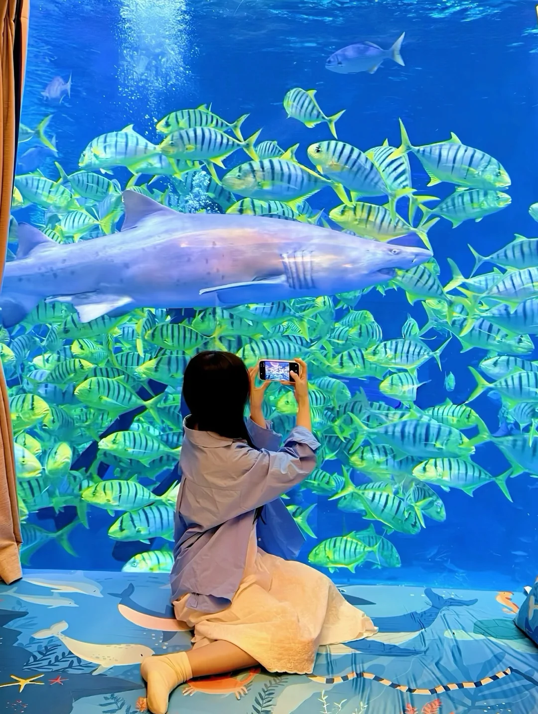 跟风最成功的一次，住进大理海底世界~