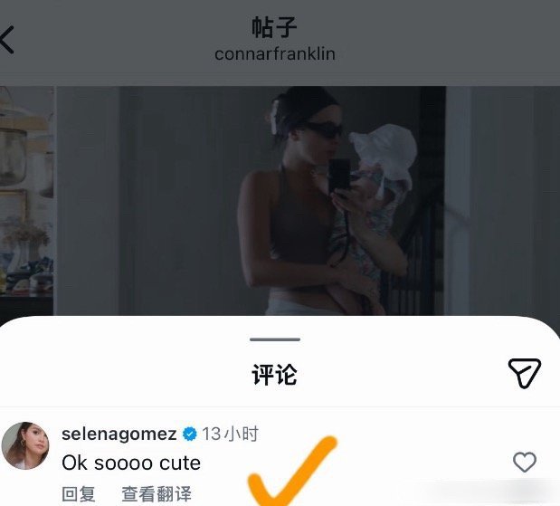 赛琳娜在霉霉婚礼上用手机不愧是唯一嫡长闺，可以在婚礼上使用手机，还在ig点赞
