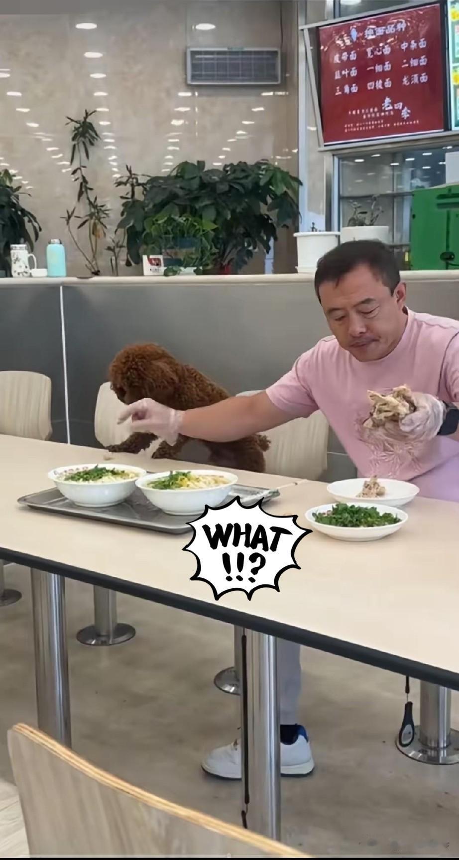 离谱！沈阳一男子让狗扒上餐厅餐桌吃饭！6月16日中午，沈阳老四季沈辽东路店发