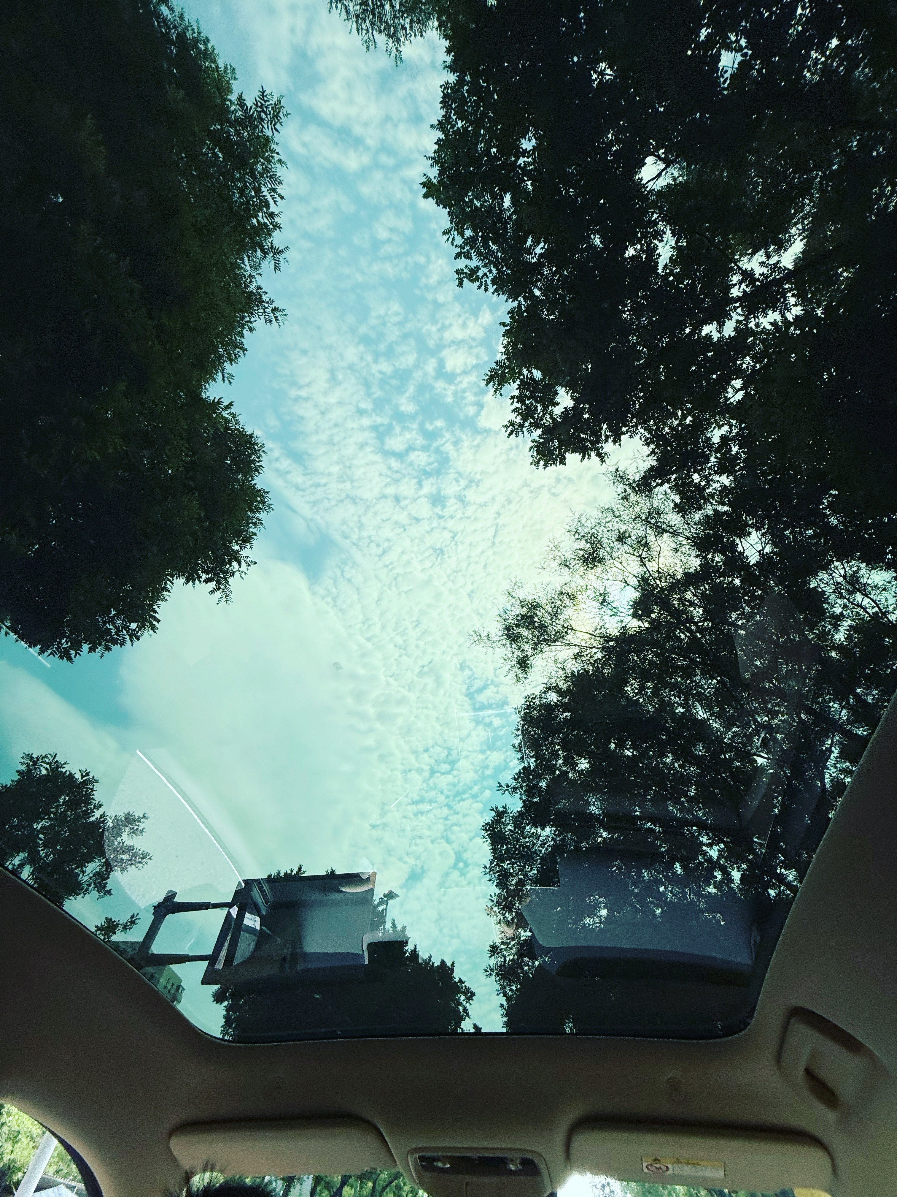出门买花的路上，抬头就能看到蓝天白云😎～这就是我喜欢全景天窗的原因～