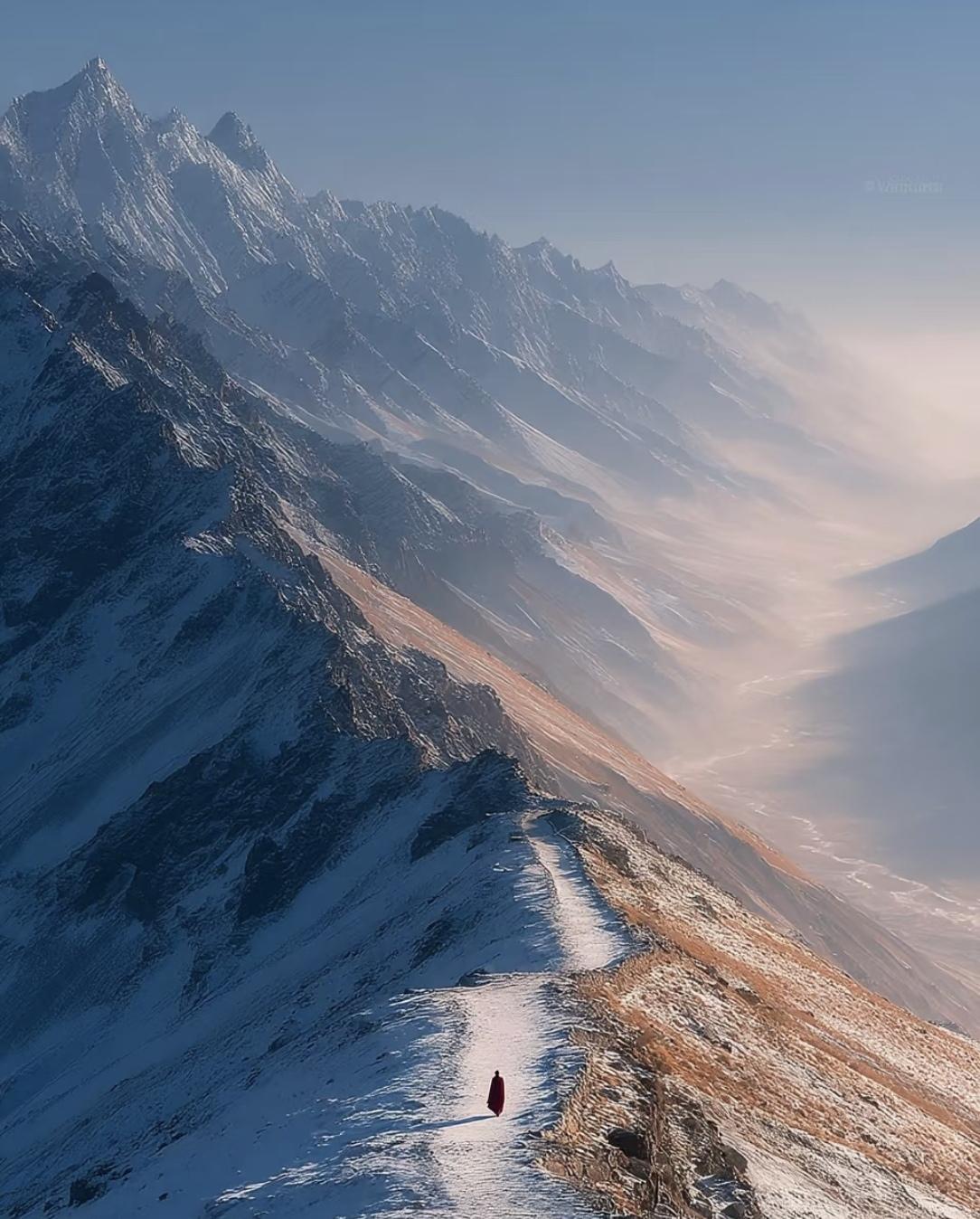 🔥单位最年轻的处长教我：真正的聪明人，都“闭着嘴”赢上周聚餐，科长老王喝多