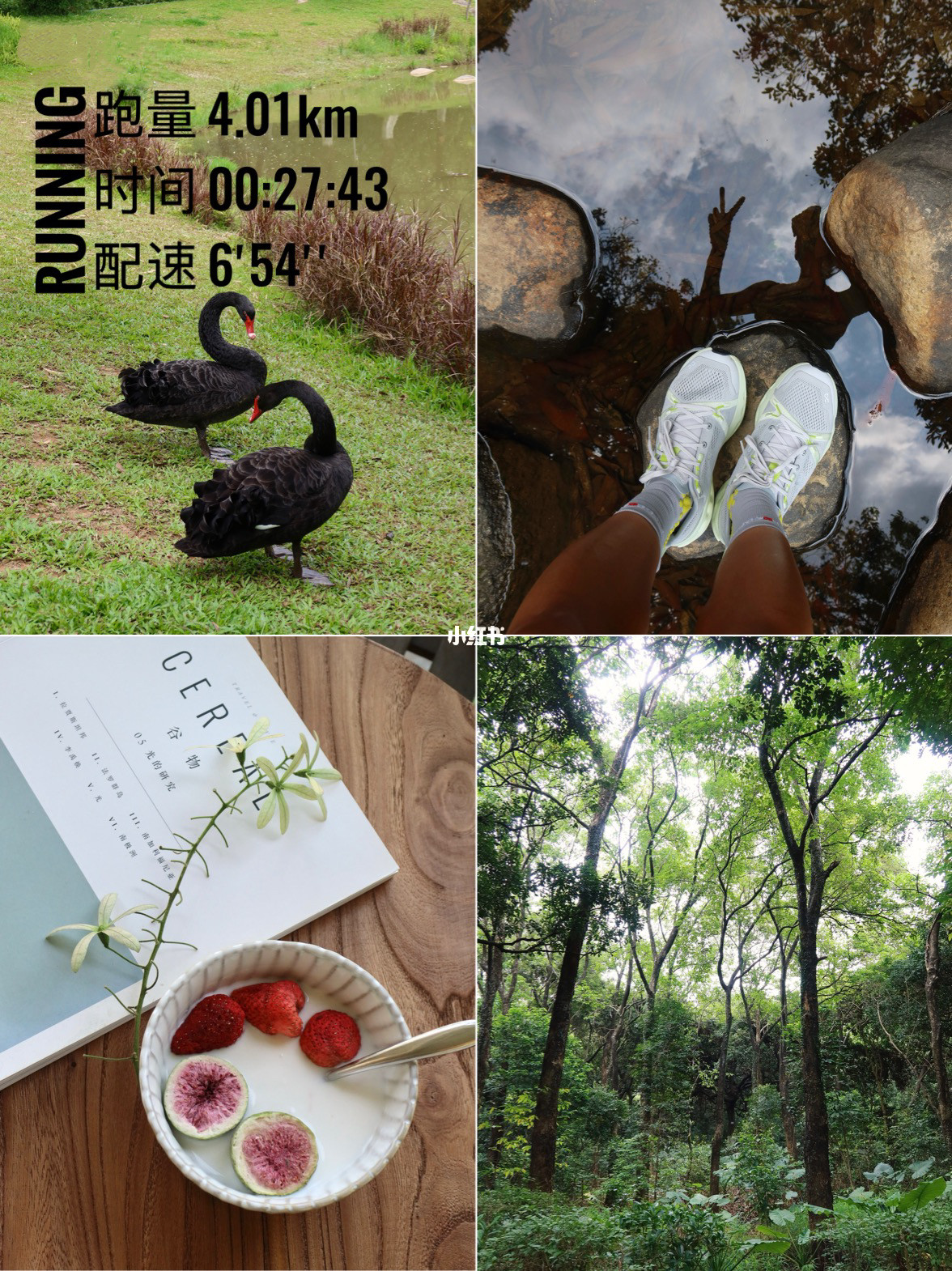 42岁11个月｜跑步是治愈一切的良药