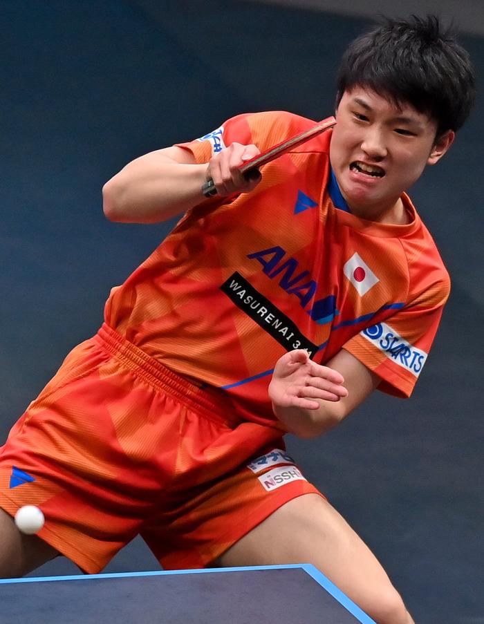 张本智和香港夺冠！4-2逆转莫雷加德，四次复刻樊振东手势致敬偶像12月14