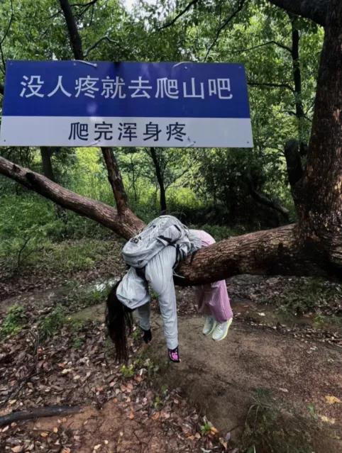 今天爬山被刺激到了！前面大爷大妈蹭蹭往上窜，后面一群20来岁年轻人瘫在半山腰喘大