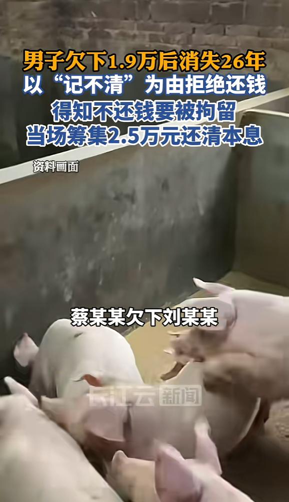 “吃相难看！”6月13日报道，广东阳春，一男子欠下1.9万猪饲料钱后，直接出去打