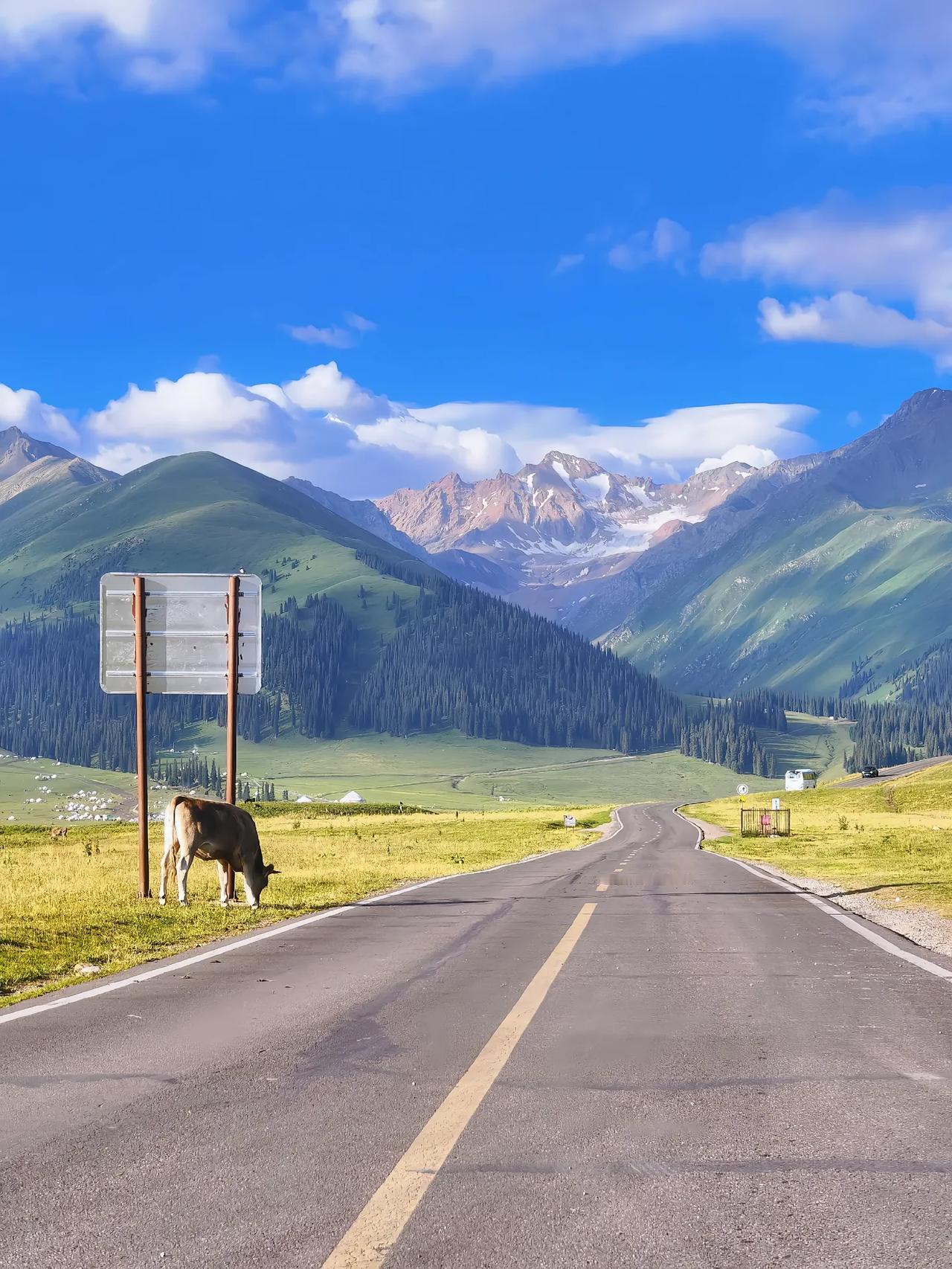 有家长问，是不是去国外留学的人员不能回国参加国内的公务员考试，其实这个担心是多
