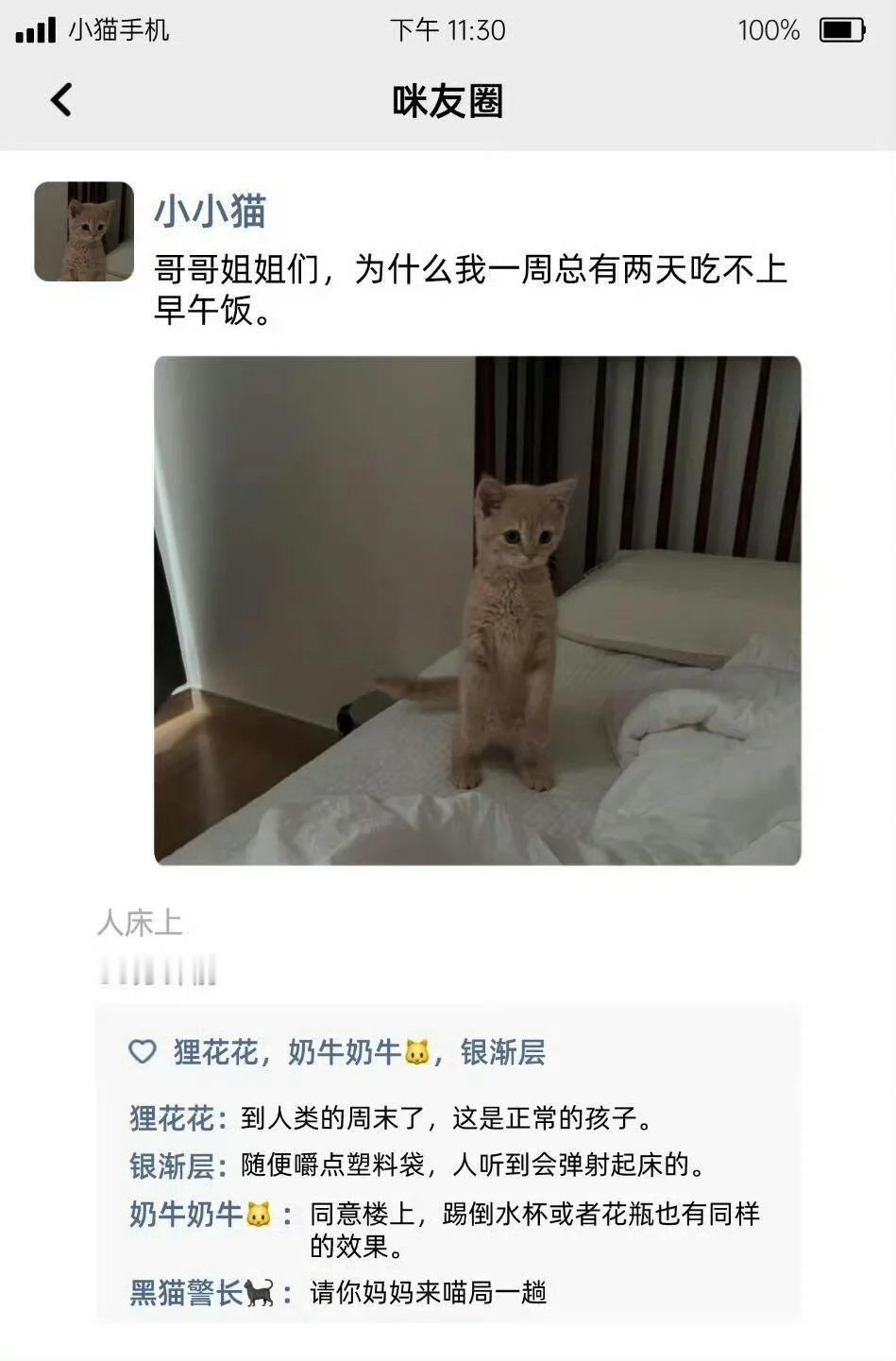 小猫又双叒叕发朋友圈了假如小猫有朋友圈​​​