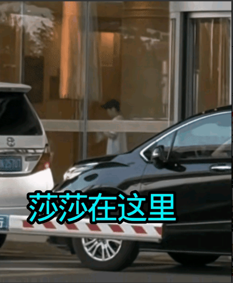 莎莎落地北京，跟王楚钦说好的一起回京，可惜只见莎莎，不见大头，现在莎莎学聪