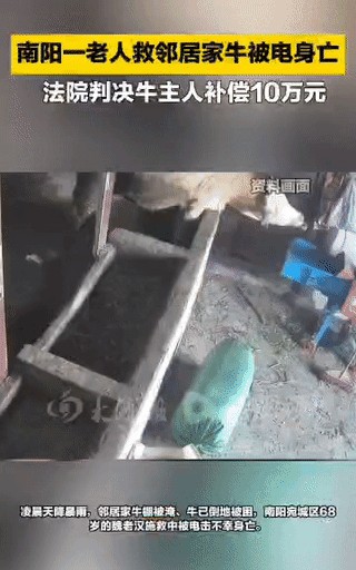 “悲剧！”近日，河南南阳，一68岁老汉在暴雨天见隔壁邻居家的牛快淹死了，便上前要
