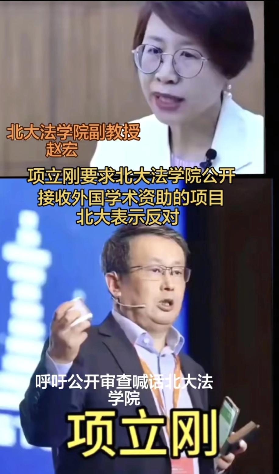 举报西方的那些不怀好意基金给东方的教授学者发钱玩，那这些个拿他们钱的教授学者算是