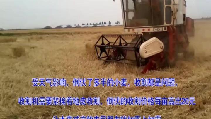17187648612364275531.jpeg?id=0