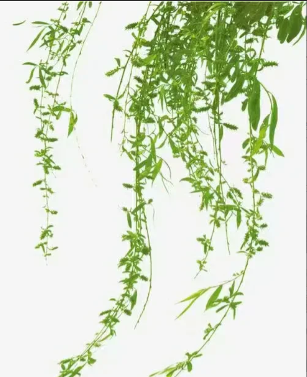 早晨锻炼时和一大爷聊天，他就问我，现在工资应该很高吧?我说几千块钱，大爷说