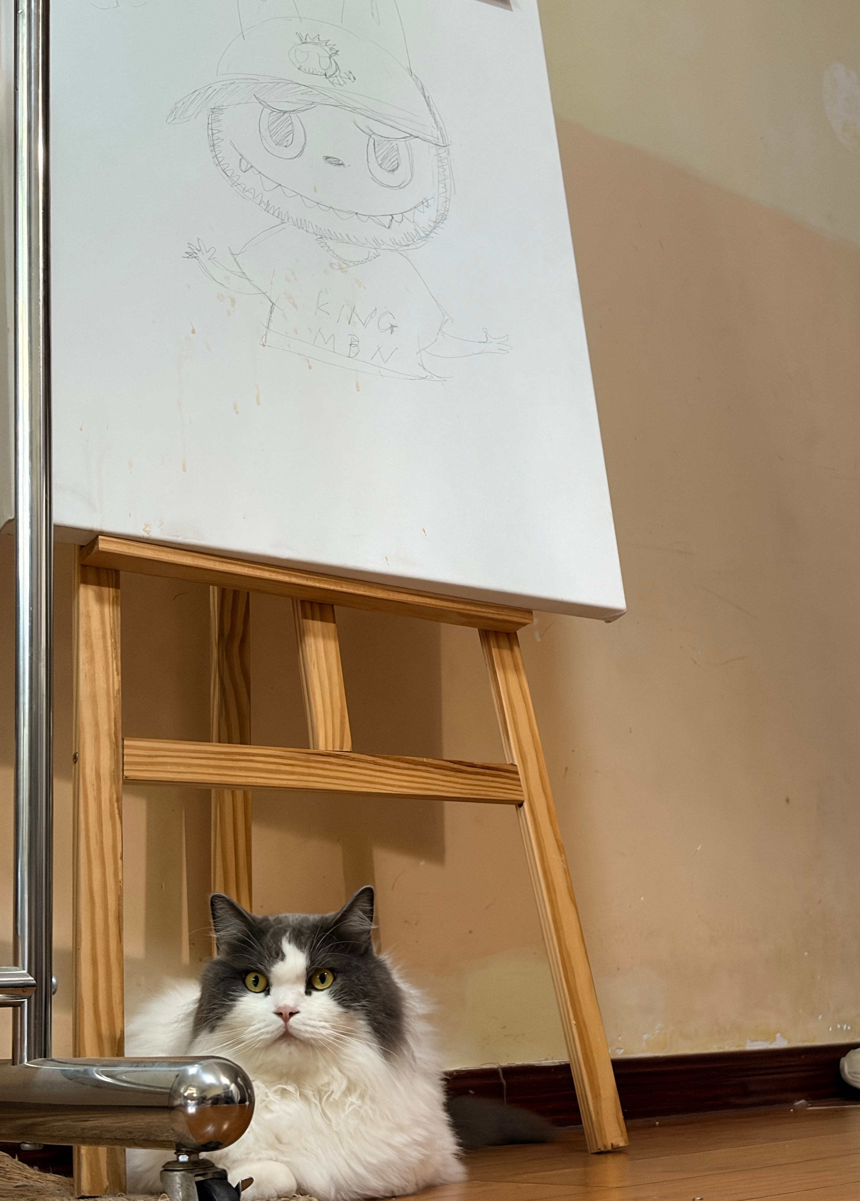 生活碎片搞怪小咪​​​