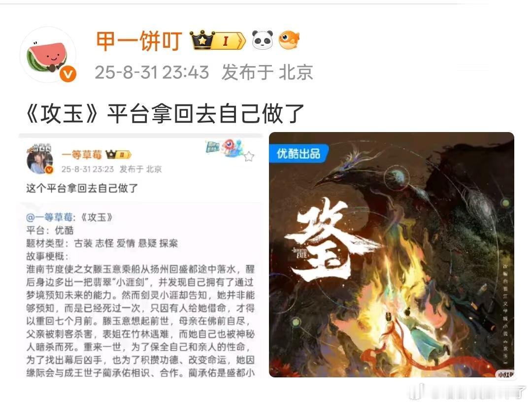 优酷自己做真的做不好，度华年和献鱼这么好的本子改成啥样了2部都不达预期[