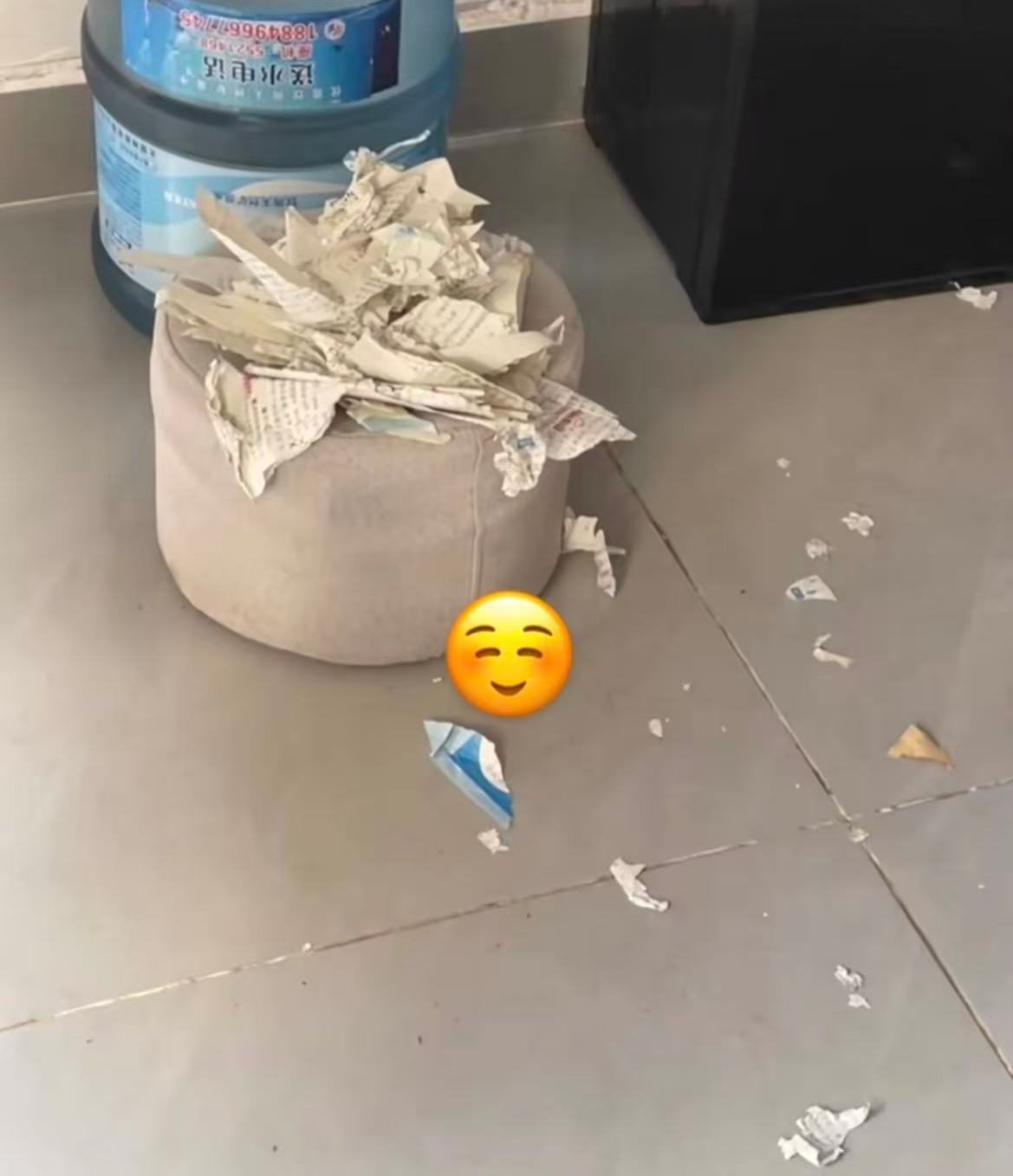 人怎么能倒霉成这样啊🤣👌网友是懂杀人诛心的​​​