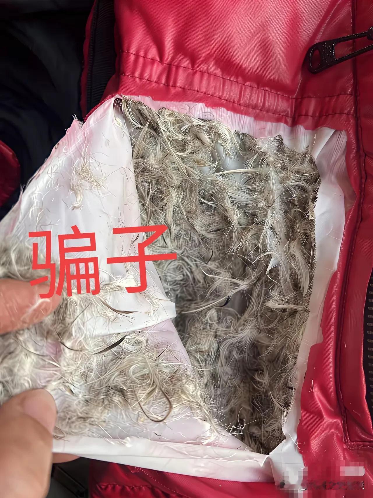 你的羽绒服打开看过吗？老婆的羽绒服打开那一瞬间崩溃了。老婆说她的几个羽绒服旧了，