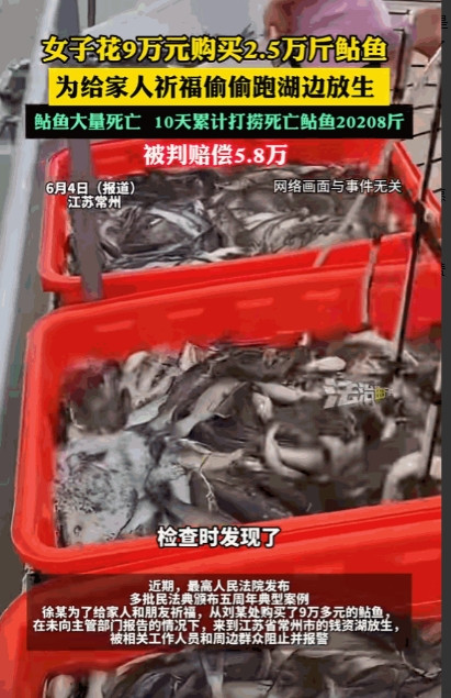 这下好了，积的福还没有造的孽多！2020年，江苏常州，女子花9万元买了2万多斤鱼