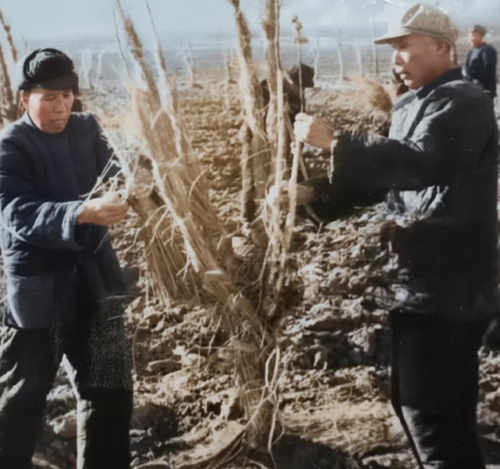 这张拍摄于20世纪50年代的照片，定格了杜建时与娄福生在功德林战犯管理所农场里劳