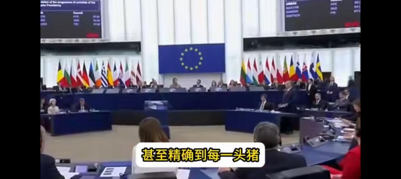 精确到一头猪，坦诚的西班牙笑傲欧盟。12月17日我国发起的猪肉反倾销席卷欧洲，