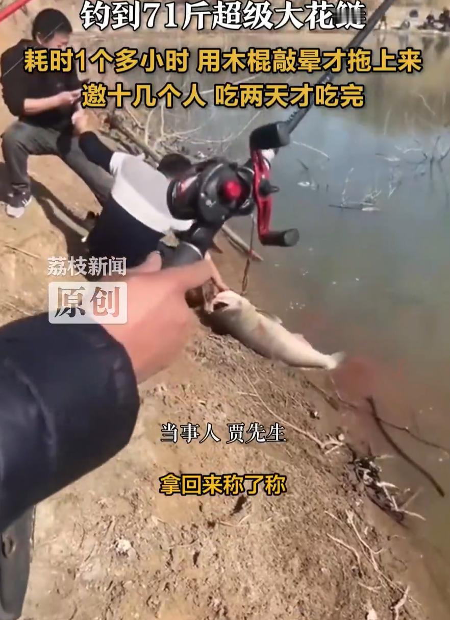 河北邢台，一男子在野坑钓鱼，起竿时以为挂底了，没想到水下传来巨大的拉力。几个钓友