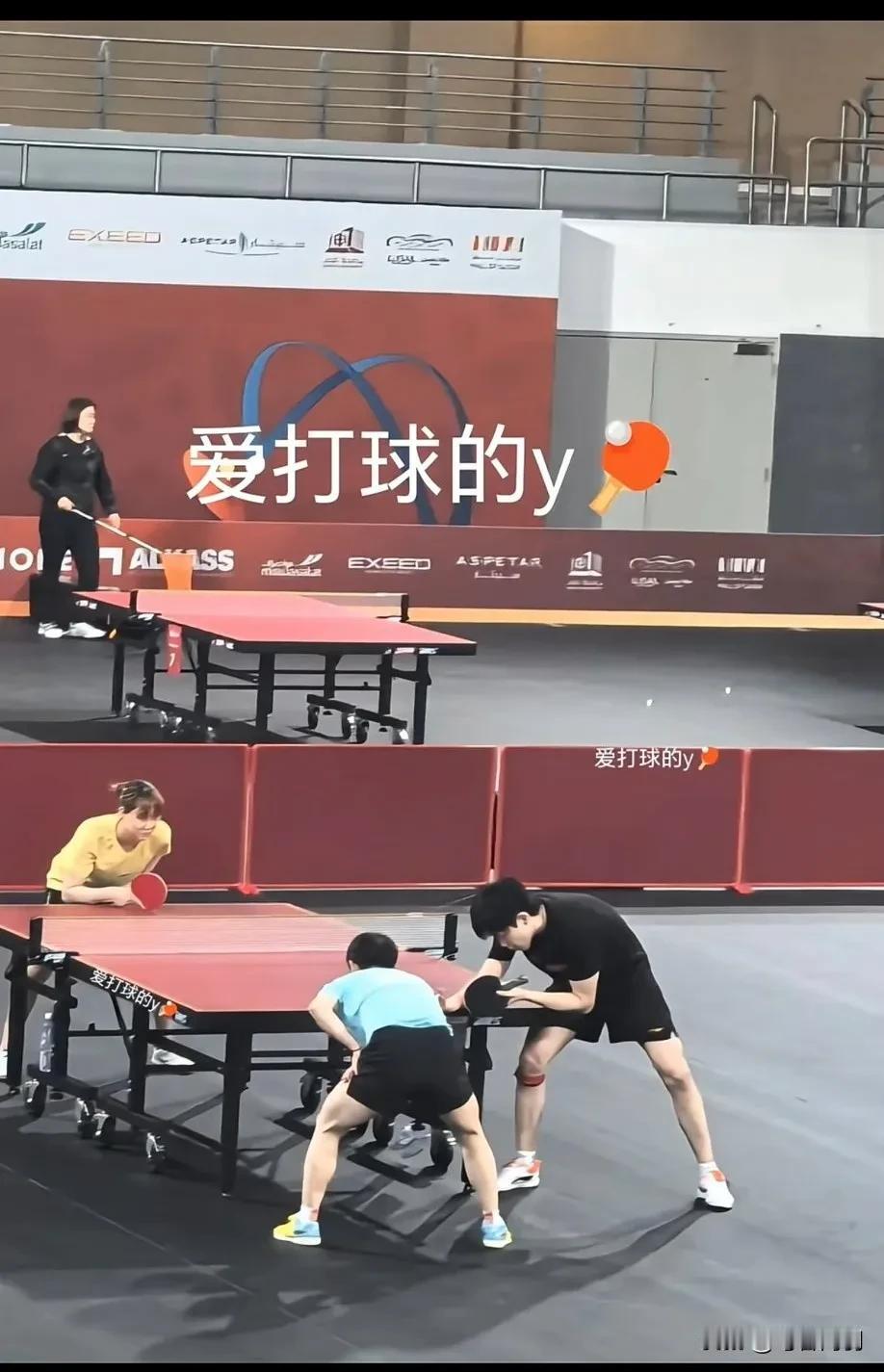 终于理解每逢大赛必作妖这句话了！孙颖莎王楚钦加油！莎莎和楚钦做好自己，其他的交