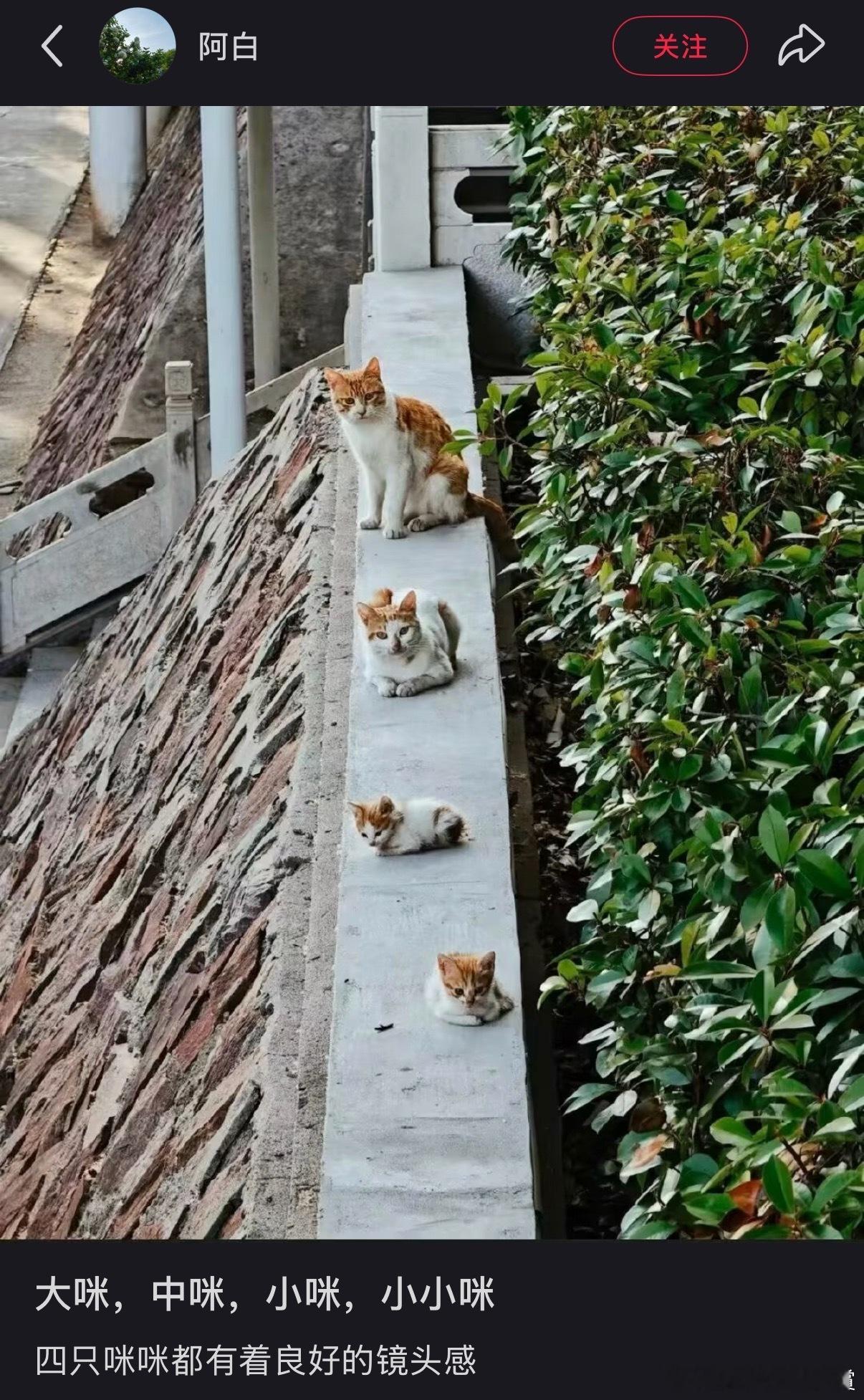 哎呀俄罗斯套咪​​​