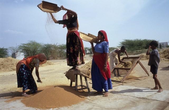 三哥终于还是低头了！据财联社报道：印度钾肥有限公司同意以每吨935美元的价格