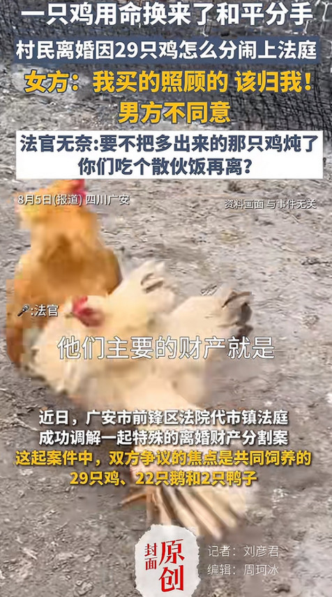 离婚分鸡？听起来像个笑话。可这对夫妻在法庭上争的29只鸡，我看得心里发沉。涂