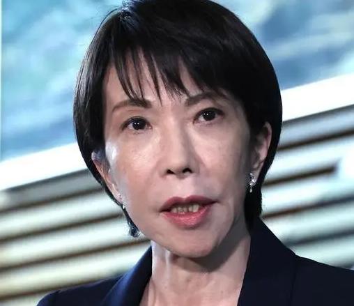 介入必有代价。日本如果真的介入台海会怎么样？中国专家曾经给出了答案：如果日本真的