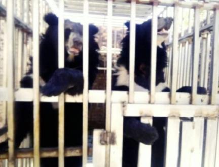 真是细思极恐，泰国海军陆战队进入一家柬埔寨赌场，空无一人的赌场深处，竟然发现了大