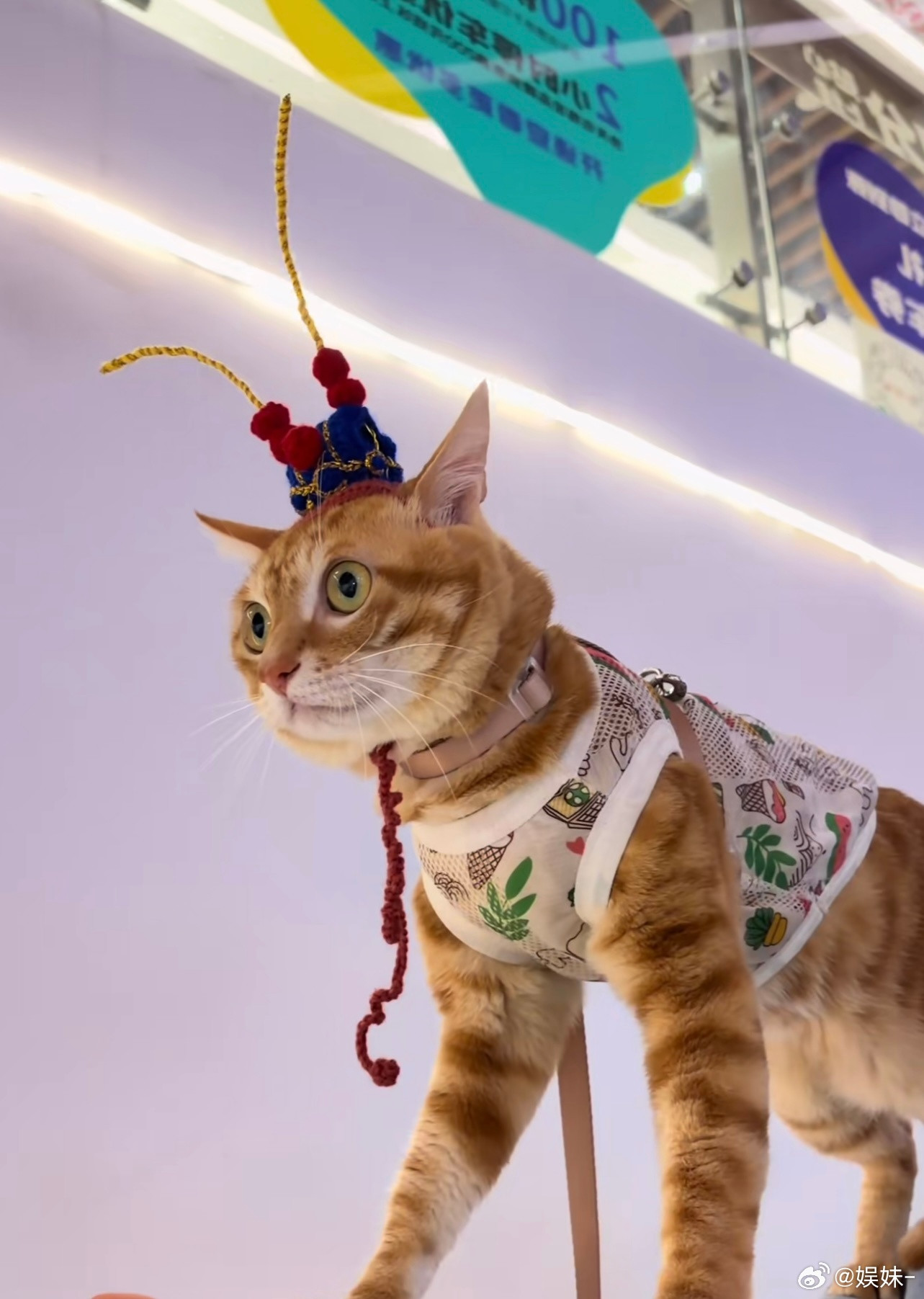 我要嫁给粉底液将军，哪怕是个妾