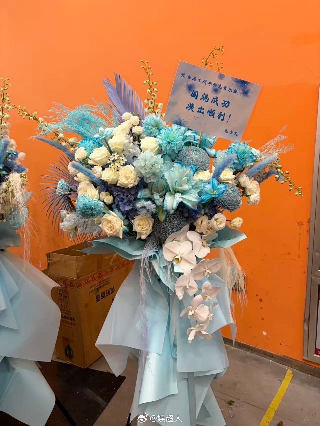 孟子义送白鹿花篮孟子义给白鹿见面会送花篮孟姐给白鹿见面会花篮💐我们姐妹花白鹿