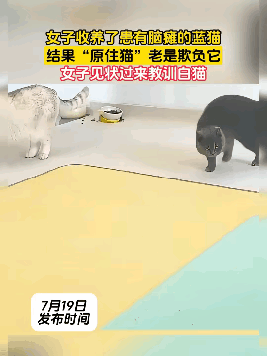 真的特别戳心，不是所有小动物，都能拥有平等安稳的小家。一位