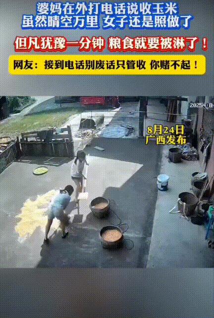 超绝执行力！婆妈在外打电话说收玉米，俩女孩看着外面的大太阳一脸疑惑，但是还是丢下