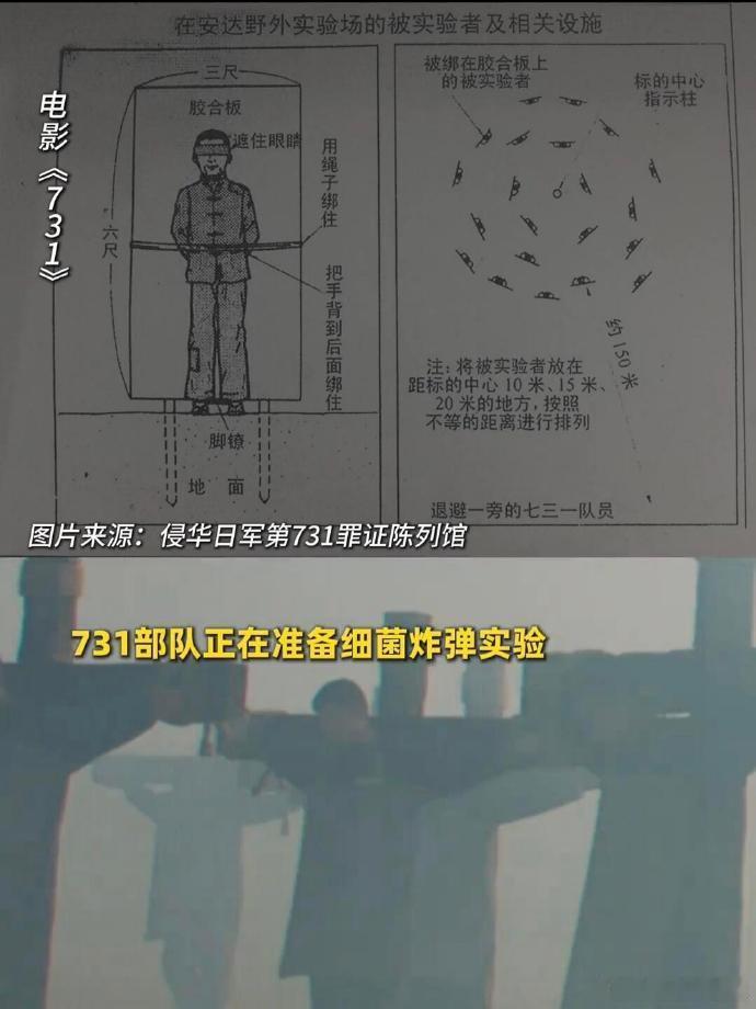 电影731母婴实验是历史的警钟，731部队对母婴的摧残，让我们明白，唯有国家强