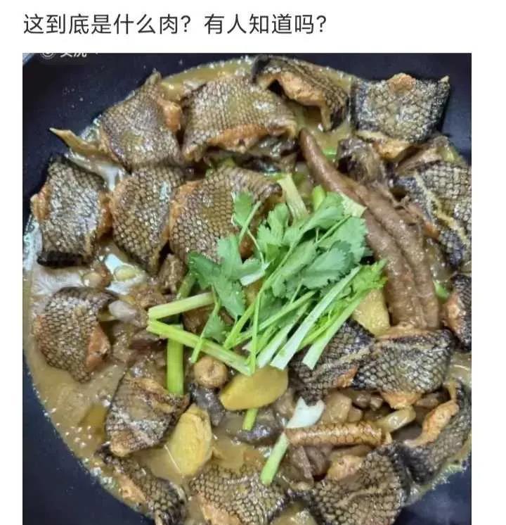 这到底是什么肉？有人知道吗？