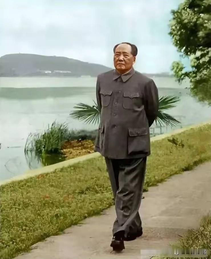 我国著名现代诗人臧克家，在受到毛主席接见时，目睹主席步履沉稳、气度非凡，由衷感慨