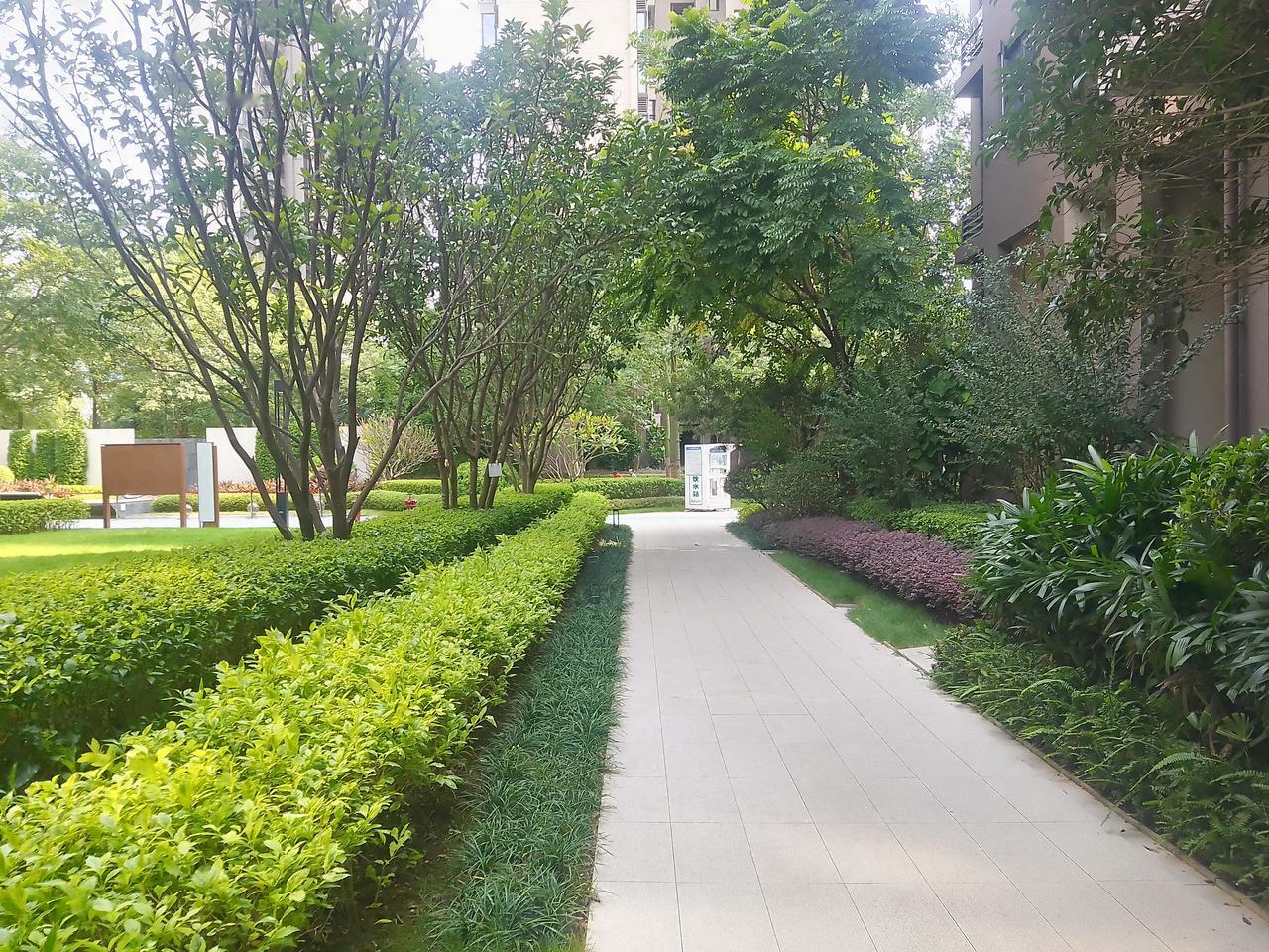 堂哥今年已经45岁了，是个不婚主义者！前几年谈了一个女朋友，分手以后堂哥决定不想