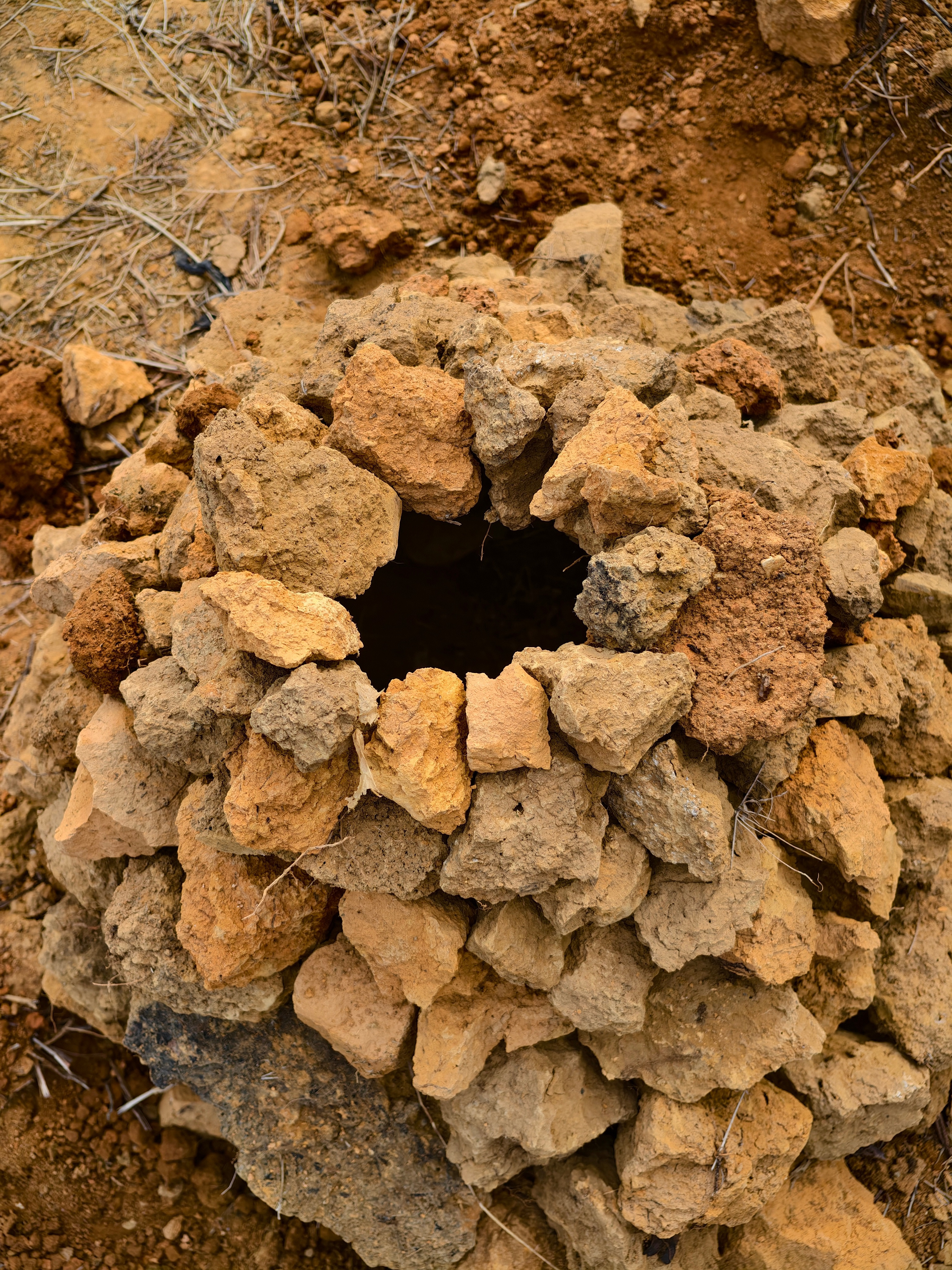 广西人民的专用仪式