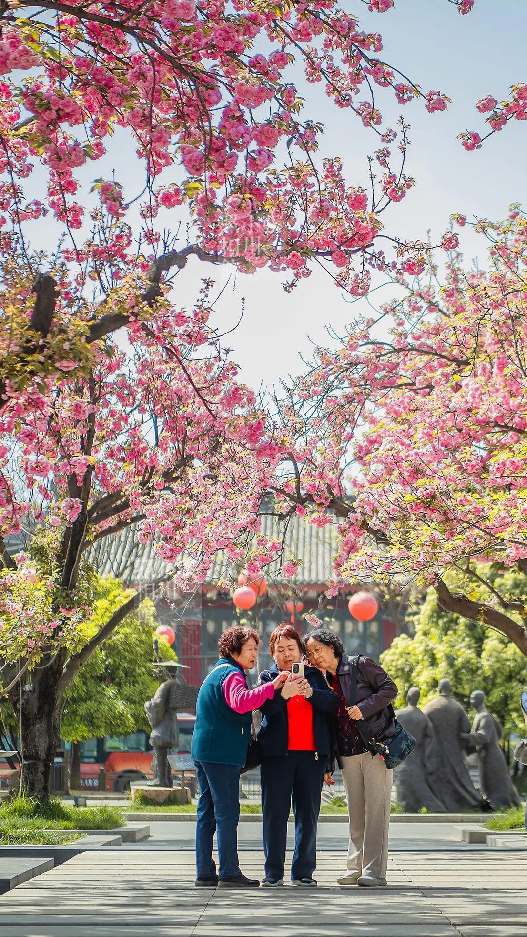 老了以后，才明白：1、儿媳女婿不亲。2、女儿远嫁，等于白养。3、房子一定