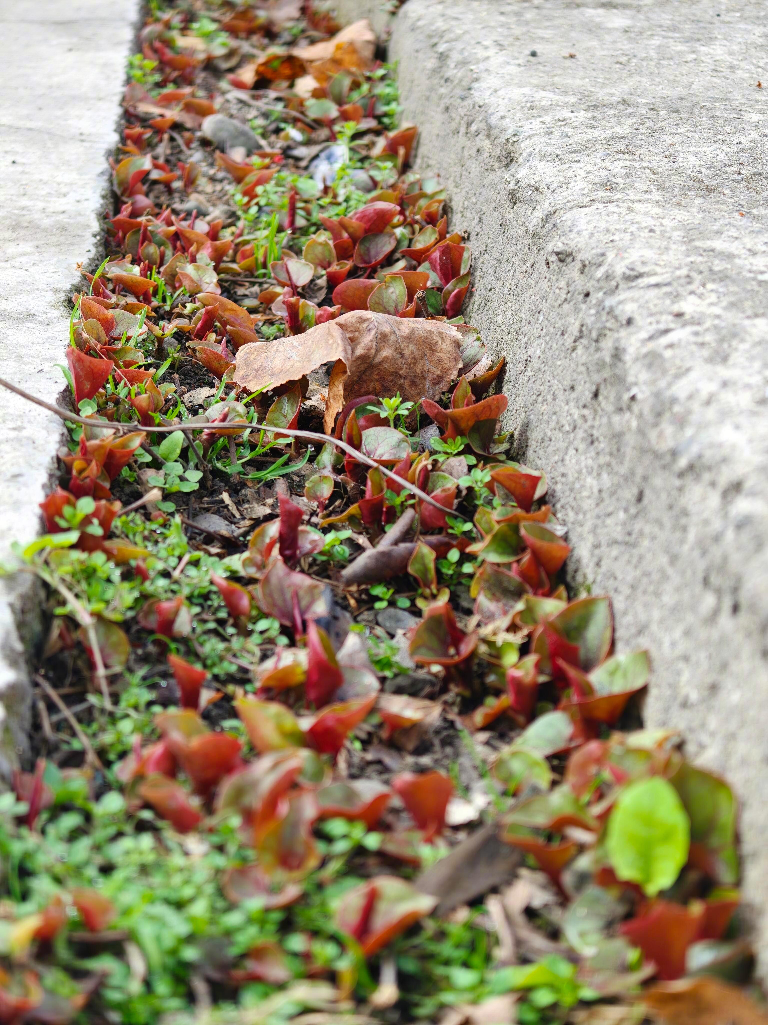 不能忽视四川的任何一条水沟